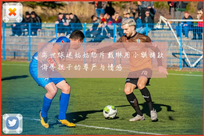 离世球迷姑姑怒斥戴琳用小额捐款侮辱孩子的尊严与情感